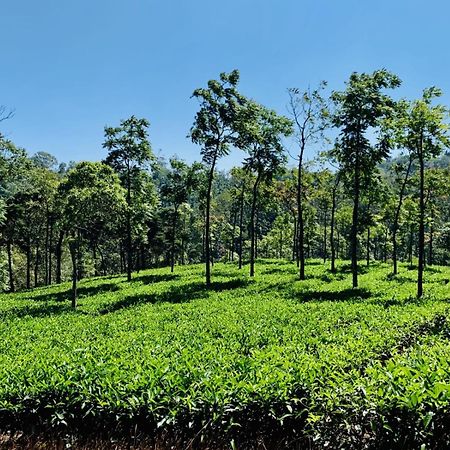 Cassells Jungle Resorts Thekkady Vandiperiyār Exteriör bild