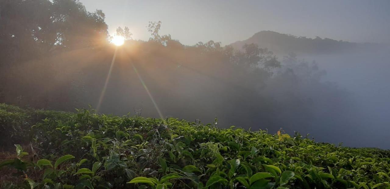 Cassells Jungle Resorts Thekkady Vandiperiyār Exteriör bild