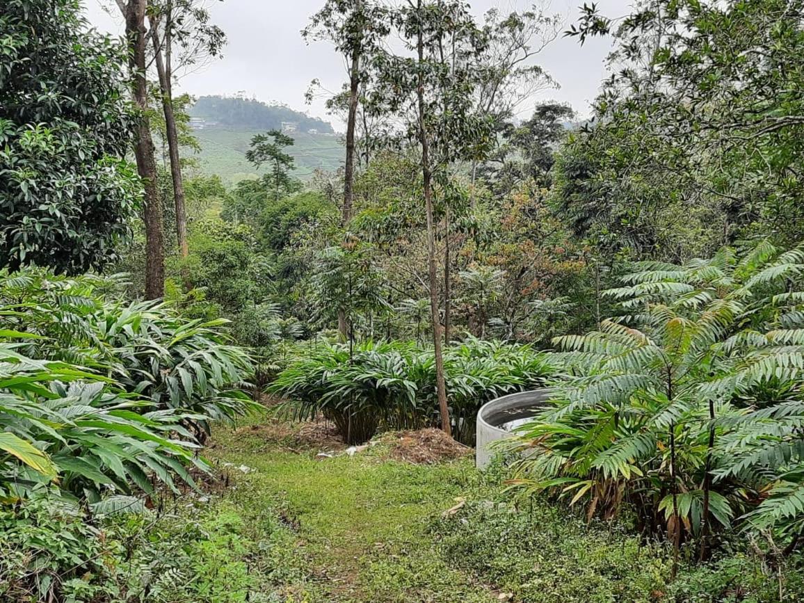 Cassells Jungle Resorts Thekkady Vandiperiyār Exteriör bild