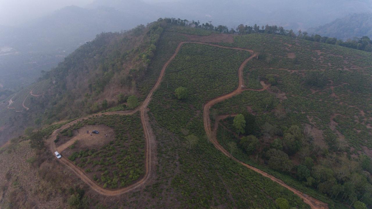 Cassells Jungle Resorts Thekkady Vandiperiyār Exteriör bild