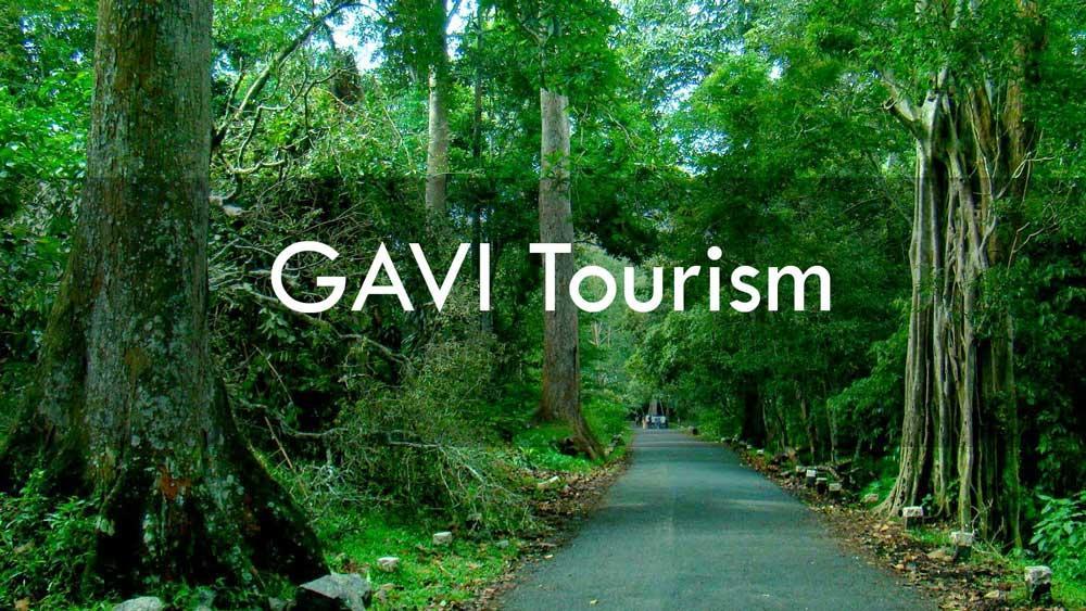 Cassells Jungle Resorts Thekkady Vandiperiyār Exteriör bild